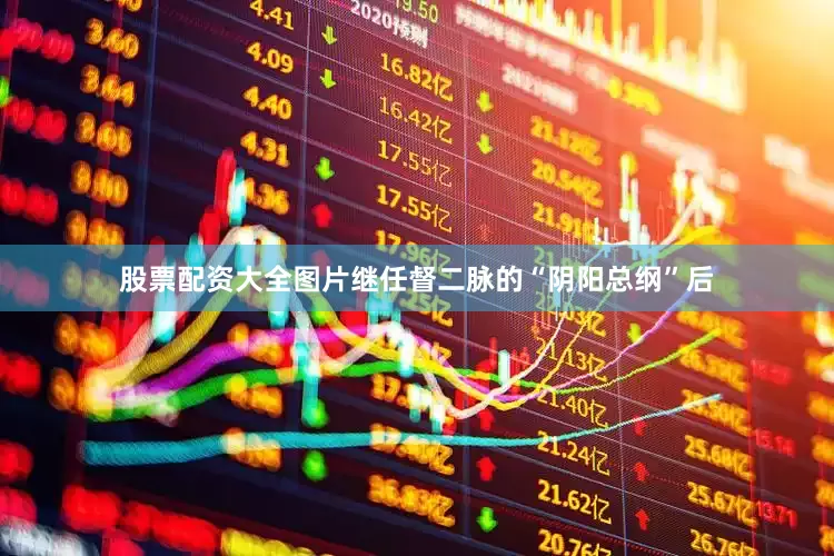股票配资大全图片继任督二脉的“阴阳总纲”后