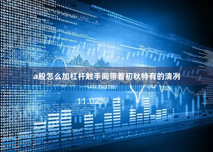 a股怎么加杠杆触手间带着初秋特有的清冽